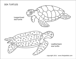 Weighing up to 2,000 pounds, leatherback sea turtles are both the largest turtle and the largest known reptile. Sea Turtles Free Printable Templates Coloring Pages Firstpalette Com