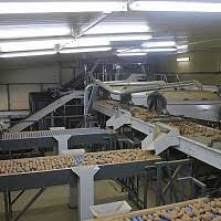 Linii de procesare si ambalare sucuri de fructe: Linii De Procesare 19 Oferte De La 11 Firme