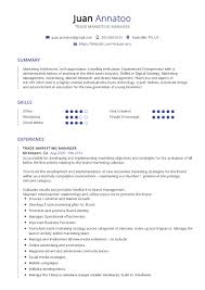Trade Marketing Manager Resume Example Writing Tips In Year 2020