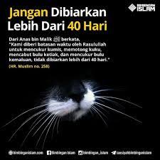 Sunnah Mencukur Dan Mencabut Bulu Jenggot Kumis Kutipan Agama Motivasi Kata Kata Indah