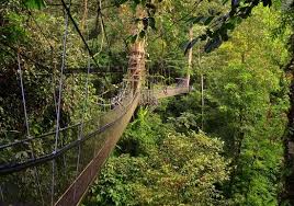 Taman negara bako taman negara mulu taman negara niah taman negara lambir taman negara similajau taman negara gunung gading taman kinabalu taman negara tunku abdul rahman taman negara kepulauan penyu taman negara pulau tiga taman negara bukit tawau. Gunung Mulu Ulasan Mulu World Heritage Area Miri District Malaysia Tripadvisor