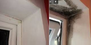 Vaporisez Simplement Cette Huile Et Vous Ne Verrez Jamais Plus De Moisissure Home Decor Home Decor
