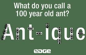 From eliminating everyday pests such as ants, spiders, bed bugs and mosquitoes, to ridding your home of the tougher pests such as wasps and rodents, we work hard to keep your family safe. Edge Pest Control And Mosquito Services On Twitter Did You Know Ants Are Believed To Be One Of The Oldest Species On The Planet Discovery Of Ants Dates Back To Around 120
