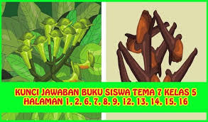 Soal uts bahasa jawa kelas xii semester 1. Soal Dan Jawaban Bahasa Jawa Kelas 12 Peranti Guru