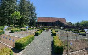 Die zentrale aufgabe des gartens besteht darin, die universität in forschung. Freigelande Des Okologisch Botanischen Gartens Bayreuth Erwartet Die Besucher Mit Artenvielfalt Und Mediterranem Flair Bayreuther Tagblatt