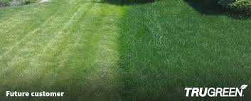 This comes out to about $65 per visit. Affordable Lawn Care Maintenance Treatment Services Trugreen