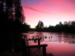 Lake Of The Woods Az Resort With Cabins Places To Go Lake Resort