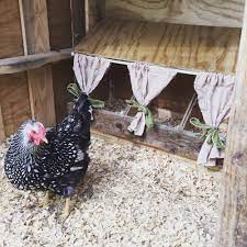 Smaller breeds will prefer placement lower to the floor, while the larger breeds usually have no problems with reaching higher levels. Pictures Of Chicken Nesting Boxes How To Build A Nest Box Backyard Chickens Learn How To Raise Chickens