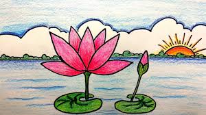How To Draw A Water Lily Scenery Step By Step Lilies Drawing Kids Drawing Projects Easy Drawings
