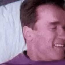 Homer Simpson Arnold Schwarzenegger GIF