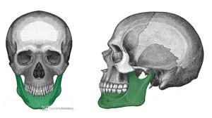 Image result for Jaw Dislocation