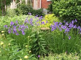 See exciting front yard landscaping ideas and photos from an award winning designer. A Garden Sanctuary From The City Finegardening