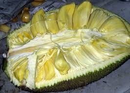 Un Jacque De Mayotte Fruits Exotiques Fruits Tropicaux Fruits