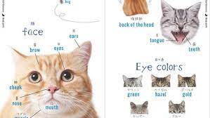 Satuan / hitungan barang dalam bahasa jepang. Mudahnya Belajar Bahasa Jepang Dengan Buku Kucing Nekotan Berita Jepang Japanesestation Com