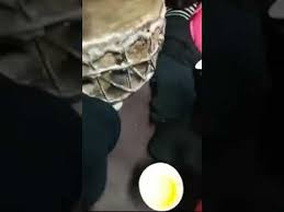 لتحميل اجمل و افضل اغاني الافراح المختارة منفرده اضغط على ايقونة التحميل الموجودة فى اخر شريط تحميل الاغنيه نفسها و الف مبروك مقدما. Ø¬Ø¯ÙŠÙ€Ù€Ø¯ Ù„ÙŠØ¨ÙŠ Ø£ØºØ§Ù†ÙŠ Ø£Ø¹Ø±Ø§Ø³ ÙŠØ§Ù„Ø²ÙŠÙ† 2017 Youtube