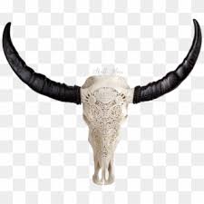 Check spelling or type a new query. Longhorn Skull Png Bull Skull Demon Clipart 4837080 Pikpng