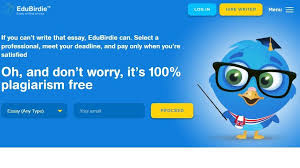Why students order last minute assistance with assignments from us. Essay Cheating How Common Is It Bbc News