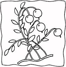 Free printable adult coloring pages. Coloring Pages Coloring Pages Cranberry Printable For Kids Adults Free To Download