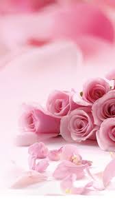 Find and download cute flower wallpapers wallpapers, total 39 desktop background. 41 Cute Valentine Iphone Wallpapers Free To Download Pink Flowers Wallpaper Pink Rose Flower Flower Wallpaper