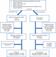 Flow Chart Of Subjects Matching And Comparison Mm Metformin