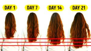 Take some of this serum and apply to your hair and scalp, wait for 30 minutes before using a good shampoo to rinse it off. Homemade Hair Growth Treatment Going In Trends