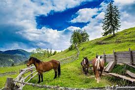 Travel guide resource for your visit to gura humorului. Cele Mai Frumoase Locuri De Vizitat In Bucovina Consilier Turism