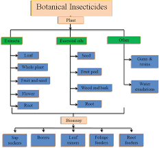 Nombor kod tengah pada ic mewakili negeri mana pada 19 5 2020 jumlah. Role Of Botanicals In Termite Management Springerlink