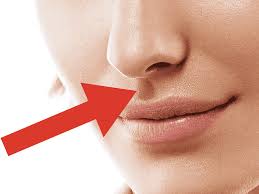 Philtrum Png Images Pngwing British dictionary definitions for philtrum. philtrum png images pngwing