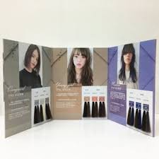 Hair Dye Color Chart Hair Color Swatch Chart Book For Hair Dye Color Cream