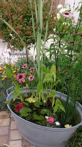 Pin Auf Tuin Ideeen