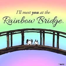 Maybe you would like to learn more about one of these? I Ll Meet You At The Rainbow Bridge Print Mutts