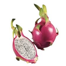 Dragon fruit grows on climbing cacti with stems that reach up to 6 meters long. Dragon Fruit