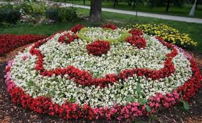 какие цветы посадить на клумбе чтобы цвели все лето фото Kakie Nizkoroslye Cvety Posadit V Klumbu Chtoby Cveli Vse Leto S Izobrazheniyami Sadovye Idei Klumby Cvety