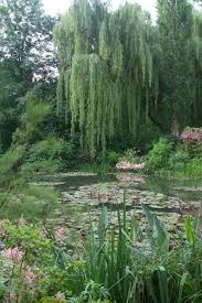 Monet S Gardens In Giverny Monet Garden Giverny Nature Photography Landscape