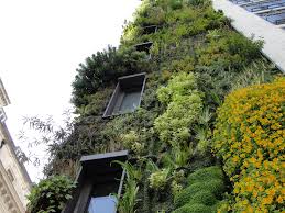 Google Afbeeldingen Resultaat Voor Http Www Debeterewereld Nl Images Userfiles Image Vertical Gardening Jpg Gartenarbeit Grunpflanzen London Hotels