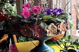 Check spelling or type a new query. Hearts And Flowers Meetings Conventions