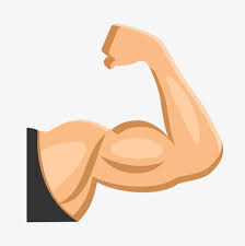 Fitness Muscle Arm Muscle Clipart Fitness Vector Fitness Png Transparent Clipart Image And Psd File For Free Download Vector Free Muscle Vector