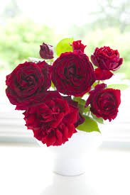 We did not find results for: 3 Mistakes We All Make With Flowers And 9 Tips To Make Them Last Longer