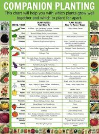 Vegetable Companion Planting Charts Jasonkellyphoto Co