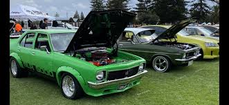 Image result for Meadow Green 1977 Holden Fleet