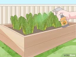 The very smell of ground pepper is intolerable for rats and they flee the vicinity within minutes. 3 Simple Ways To Keep Rats Out Of A Vegetable Garden Wikihow