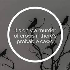 Canada is the summer home of crows. What Is A Group Of Crows Called Quora
