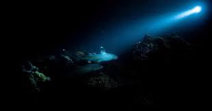 Úloha hlubinných vývěrů v původu života