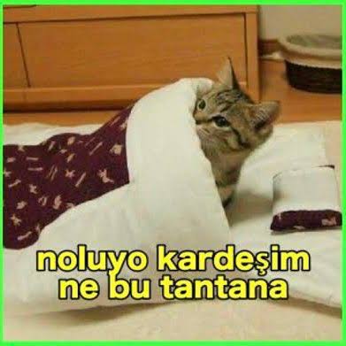 D���n ki O Bu Yaz�y� Okuyacak