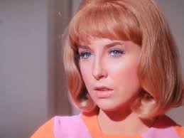 She earned an academy award nomination for best supporting. Teri Garr Biography And Celebrity Profile Childhood And Life Achievements Networth Height Salary