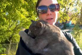 Manta Ray Waits Patiently While Divers Cut Off Fishing Line