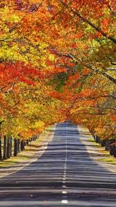 Mount Macedon Melbourne State Of Victoria Australia Macedon Beautiful Places Country Roads