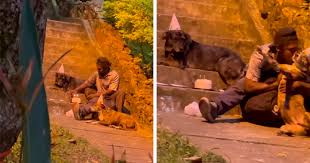 Homeless Man's Birthday Party For His Dog Warms The Hearts Of Many, Leading To A Better Life For Them All | Bored Panda