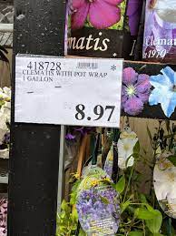 Slow release fertilizer will allow for a second. Entire Costco Garden Centre On Markdown Save Money In Winnipeg