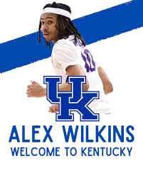 Everything - Kentucky just landed Alex Wilkins from the transfer portal.  Welcome to the Big Blue Nation! | Facebook